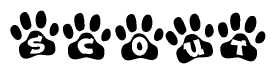 The image shows a series of animal paw prints arranged horizontally. Within each paw print, there's a letter; together they spell Scout