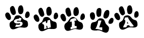 The image shows a row of animal paw prints, each containing a letter. The letters spell out the word Shila within the paw prints.