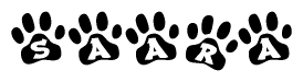 The image shows a series of animal paw prints arranged horizontally. Within each paw print, there's a letter; together they spell Saara