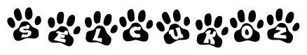 The image shows a series of animal paw prints arranged horizontally. Within each paw print, there's a letter; together they spell Selcukoz