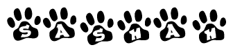 The image shows a series of animal paw prints arranged in a horizontal line. Each paw print contains a letter, and together they spell out the word Sashah.
