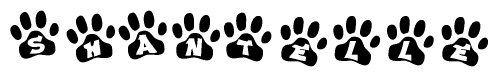 The image shows a row of animal paw prints, each containing a letter. The letters spell out the word Shantelle within the paw prints.
