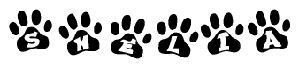 The image shows a series of animal paw prints arranged horizontally. Within each paw print, there's a letter; together they spell Shelia