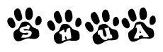The image shows a series of animal paw prints arranged in a horizontal line. Each paw print contains a letter, and together they spell out the word Shua.
