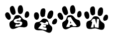 The image shows a row of animal paw prints, each containing a letter. The letters spell out the word Sean within the paw prints.