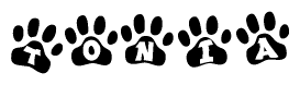 The image shows a row of animal paw prints, each containing a letter. The letters spell out the word Tonia within the paw prints.