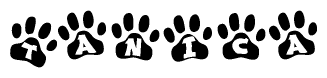 The image shows a series of animal paw prints arranged in a horizontal line. Each paw print contains a letter, and together they spell out the word Tanica.