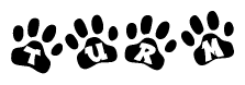 The image shows a row of animal paw prints, each containing a letter. The letters spell out the word Turm within the paw prints.