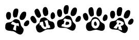 The image shows a series of animal paw prints arranged horizontally. Within each paw print, there's a letter; together they spell Tudor