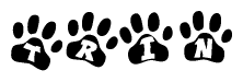 The image shows a series of animal paw prints arranged in a horizontal line. Each paw print contains a letter, and together they spell out the word Trin.