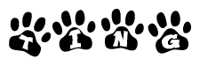 The image shows a row of animal paw prints, each containing a letter. The letters spell out the word Ting within the paw prints.