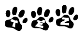 The image shows a row of animal paw prints, each containing a letter. The letters spell out the word Tez within the paw prints.