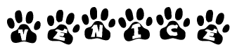 The image shows a row of animal paw prints, each containing a letter. The letters spell out the word Venice within the paw prints.