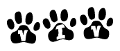 The image shows a series of animal paw prints arranged horizontally. Within each paw print, there's a letter; together they spell Viv