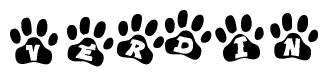 The image shows a series of animal paw prints arranged in a horizontal line. Each paw print contains a letter, and together they spell out the word Verdin.