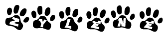 The image shows a series of animal paw prints arranged in a horizontal line. Each paw print contains a letter, and together they spell out the word Zylene.