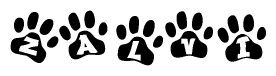 The image shows a series of animal paw prints arranged horizontally. Within each paw print, there's a letter; together they spell Zalvi