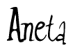 The image is a stylized text or script that reads 'Aneta' in a cursive or calligraphic font.