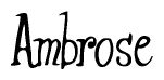 The image is of the word Ambrose stylized in a cursive script.