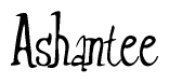 The image is a stylized text or script that reads 'Ashantee' in a cursive or calligraphic font.
