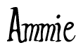 The image is a stylized text or script that reads 'Ammie' in a cursive or calligraphic font.