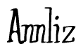 The image is of the word Annliz stylized in a cursive script.