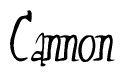 The image contains the word 'Cannon' written in a cursive, stylized font.