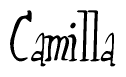 The image is a stylized text or script that reads 'Camilla' in a cursive or calligraphic font.
