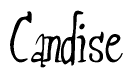 The image contains the word 'Candise' written in a cursive, stylized font.