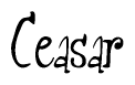 The image is of the word Ceasar stylized in a cursive script.