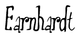 The image is a stylized text or script that reads 'Earnhardt' in a cursive or calligraphic font.