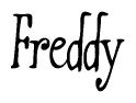 The image is of the word Freddy stylized in a cursive script.