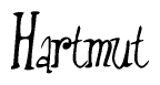 The image is of the word Hartmut stylized in a cursive script.