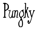Pungky