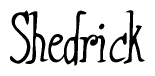 The image is of the word Shedrick stylized in a cursive script.