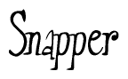 The image is of the word Snapper stylized in a cursive script.