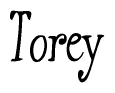 The image is a stylized text or script that reads 'Torey' in a cursive or calligraphic font.