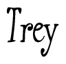The image is of the word Trey stylized in a cursive script.