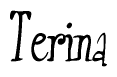 The image is a stylized text or script that reads 'Terina' in a cursive or calligraphic font.