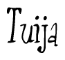 The image is of the word Tuija stylized in a cursive script.