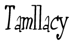 The image is a stylized text or script that reads 'Tamllacy' in a cursive or calligraphic font.