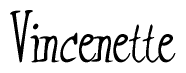 The image is of the word Vincenette stylized in a cursive script.
