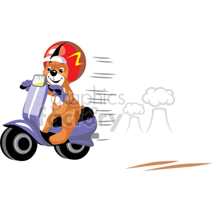 clipart - Teddy bear riding a scooter.