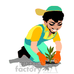 clipart - Man planting plants in the garden.