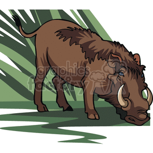 The image depicts a cartoon of a wild boar standing with grass in the background. It is a dark brown color, and has its nose to the ground 