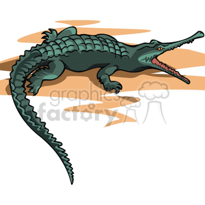  gator gators crocodile crocodiles alligator alligators   Anml090 Clip Art Animals wmf jpg png gif vector clipart images real realistic