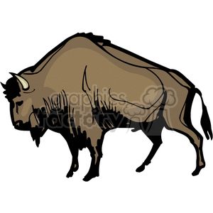 indian indians native americans western navajo buffalo buffaloes bison vector eps jpg png clipart people gif