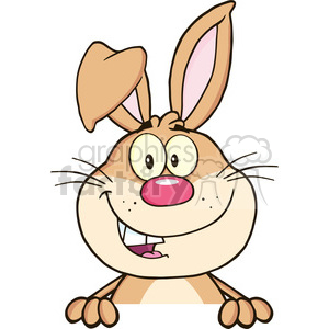 Cute Rabbit Cartoon Mascot Character Over Blank Sign clipart. Commercial use image # 390160