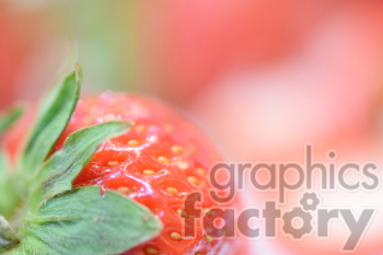 strawberry close up clipart.