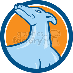 greyhound looking up head CIRC clipart. Royalty-free image # 394587